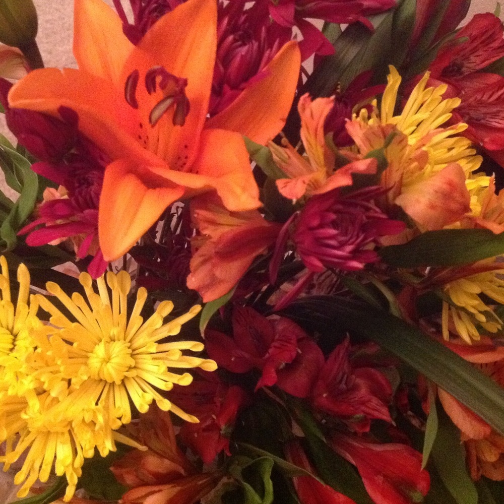 Meet your Posher, Lori